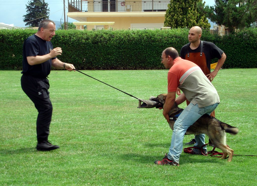 Armin Bushman Workshop 2010