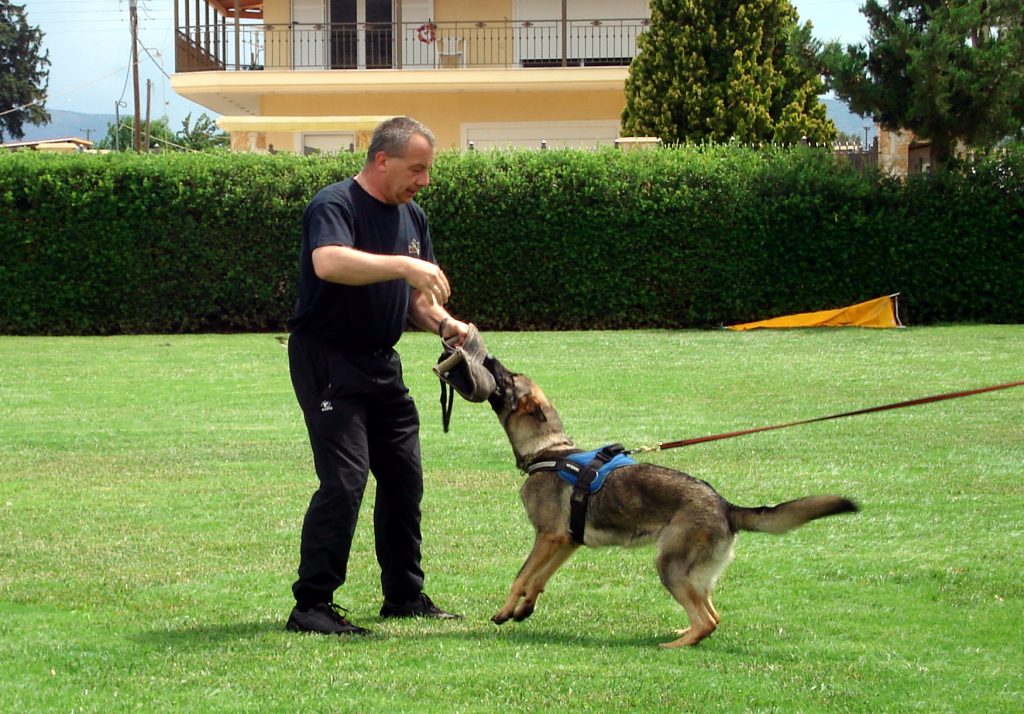 Armin Bushman Workshop 2010