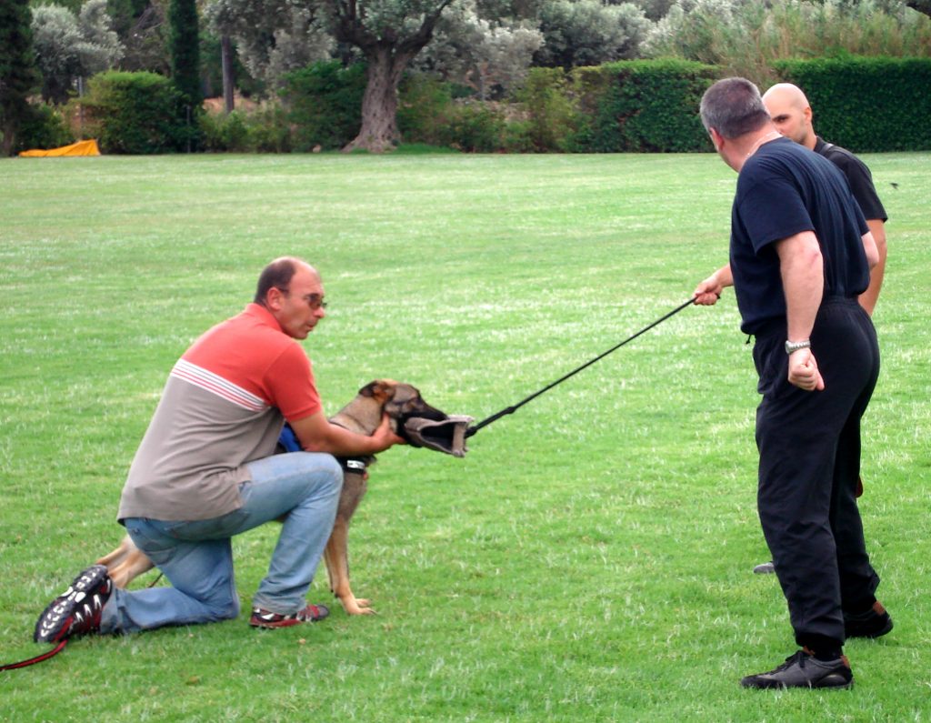 Armin Bushman Workshop 2010