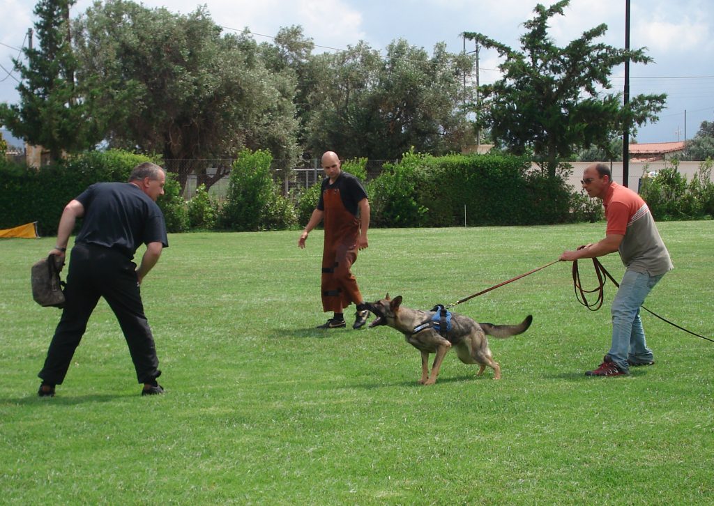 Armin Bushman Workshop 2010