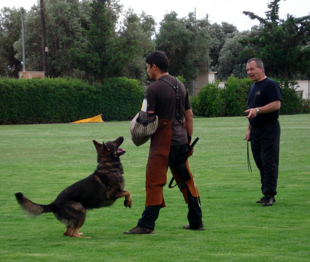 Armin Bushman Workshop 2010