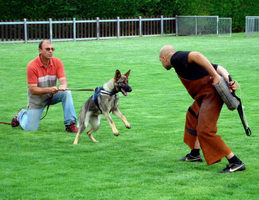 Armin Bushman Workshop 2010